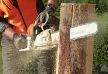 Photo of Tree Trimmer Senior